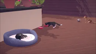 Скриншот 3 к игре Cat Cafe Simulator