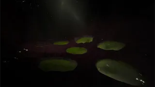 Скриншот 4 к игре Karvaros