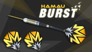 Скриншот 3 к игре Dan Sisal's 501 Darts Trainer
