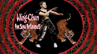 Скриншот 3 к игре Pak Sung Bo Wing Chun