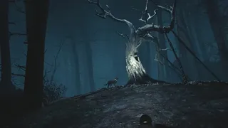 Скриншот 4 к игре Blair Witch VR