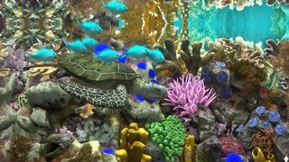Скриншот 2 к игре Behind Glass: Aquarium Simulator