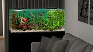 Скриншот 3 к игре Behind Glass: Aquarium Simulator