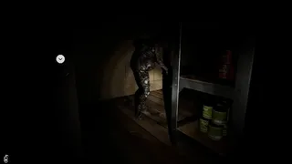 Скриншот 1 к игре THE MADHOUSE | 感染屋敷