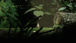 Скриншот 1 к игре Seedlings