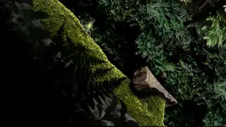 Скриншот 4 к игре Seedlings