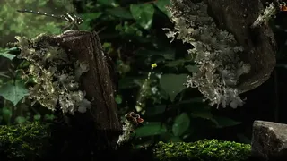 Скриншот 5 к игре Seedlings