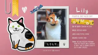 Скриншот 4 к игре Sudocats