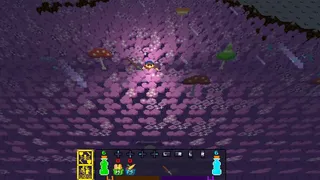 Скриншот 5 к игре Wyvia
