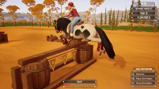 Скриншот 7 к игре The Ranch of Rivershine