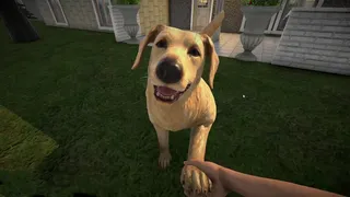 Скриншот 1 к игре Pets Hotel