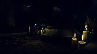 Скриншот 4 к игре Insaniam