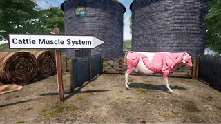 Скриншот 6 к игре Cattle 101 -  Sample Library