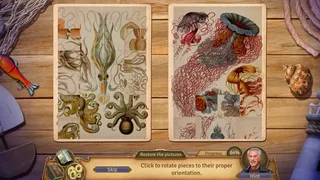 Скриншот 3 к игре Faircroft's Antiques: The Forbidden Crypt