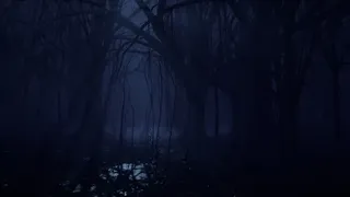 Скриншот 4 к игре Solomon Division