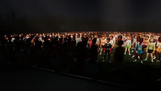 Скриншот 5 к игре Festivals - Headliners