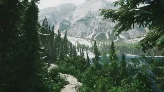 Скриншот 1 к игре Lushfoil Photography Sim