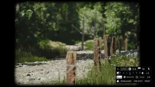 Скриншот 4 к игре Lushfoil Photography Sim