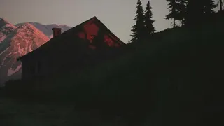 Скриншот 5 к игре Lushfoil Photography Sim