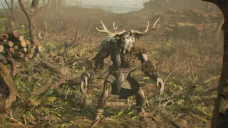 Скриншот 6 к игре Leshy