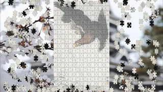 Скриншот 4 к игре Pieces of Beauty