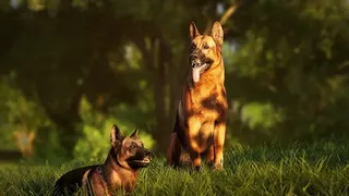 Скриншот 2 к игре Photography Simulator