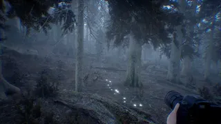 Скриншот 5 к игре Photography Simulator