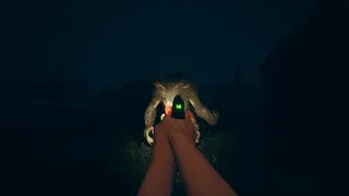 Скриншот 2 к игре Somni