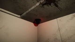 Скриншот 3 к игре Twelve Floors Below.