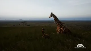 Скриншот 1 к игре THE GREAT CIRCLE