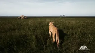 Скриншот 3 к игре THE GREAT CIRCLE