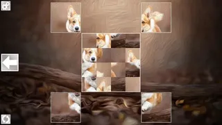 Скриншот 1 к игре Puzzle Art: Dogs