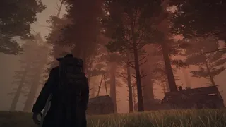 Скриншот 4 к игре Paragrowth
