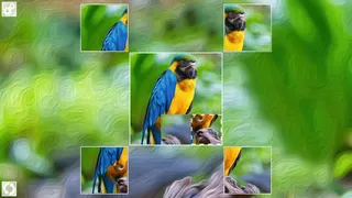 Скриншот 1 к игре Puzzle Art: Birds