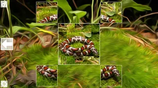 Скриншот 1 к игре Puzzle Art: Snakes