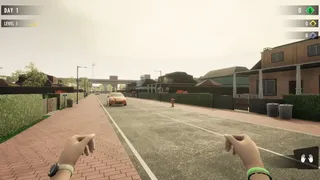 Скриншот 1 к игре Delivery Boy