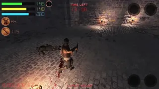 Скриншот 8 к игре Dungeon Avenger