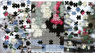 Скриншот 2 к игре Pieces of Beauty 2