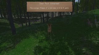 Скриншот 5 к игре In the Wild