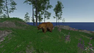 Скриншот 7 к игре In the Wild