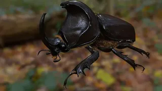 Скриншот 7 к игре For The Hive