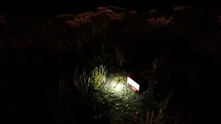 Скриншот 7 к игре Violation