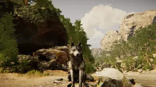 Скриншот 1 к игре Animal Simulator