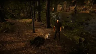 Скриншот 3 к игре Animal Simulator