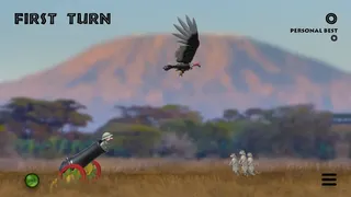 Скриншот 5 к игре Safari Cannon