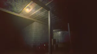 Скриншот 4 к игре Family Is Nothing