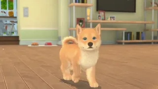 Скриншот 2 к игре My Universe - Puppies & Kittens