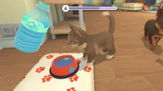 Скриншот 5 к игре My Universe - Puppies & Kittens