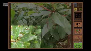 Скриншот 3 к игре Insect Seeker