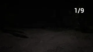 Скриншот 7 к игре Dark effigy